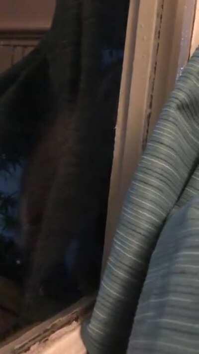 Just stopped by to say a quick hello!