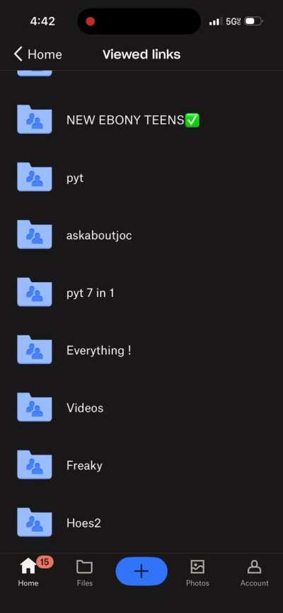 5-10$pyt folders