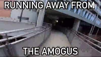 I HATE AMOGUS