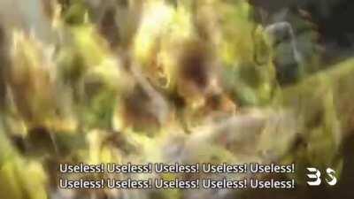 Saiman Anime Transition