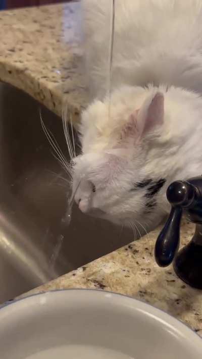 That’s…. A Way to Drink Water