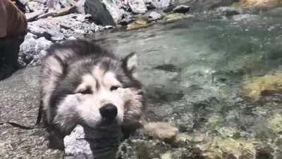 🔥 relax with water 🔥