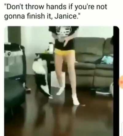 To throw hands with a cat.