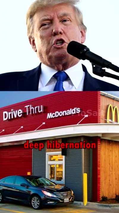 Biden becomes self-aware! (credit: PioSalt)