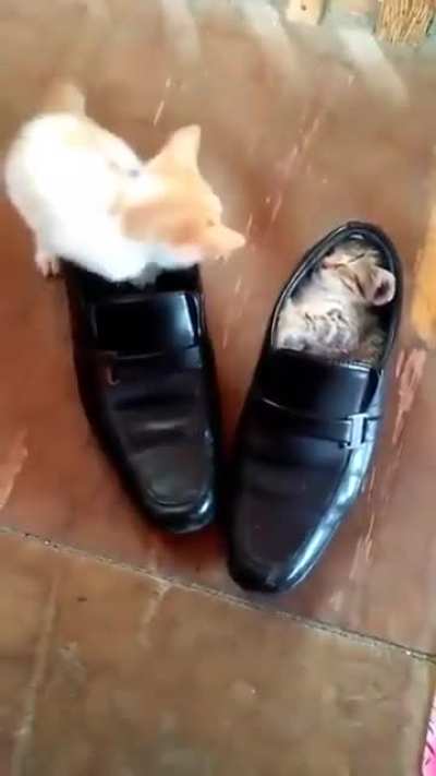 If it fits, we sleep