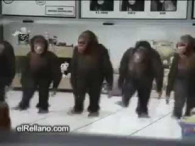Chilenos grabados bailando y cantado