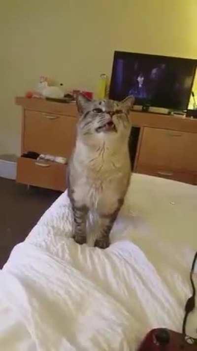 Cutest sneeze