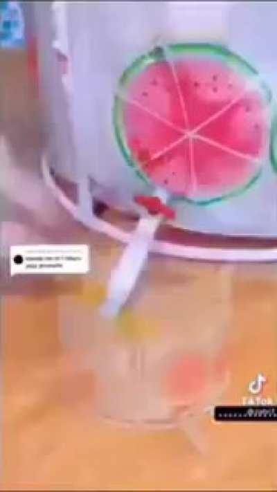 i dreamed that a thugshaker broke into my house and beated me to death