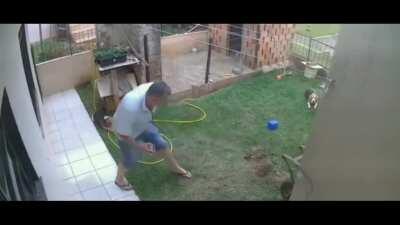 Get rid of moles in lawn - efficient way