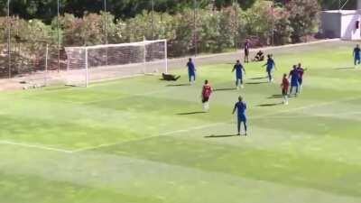 Os Golos no jogo de hoje contra o Estoril!