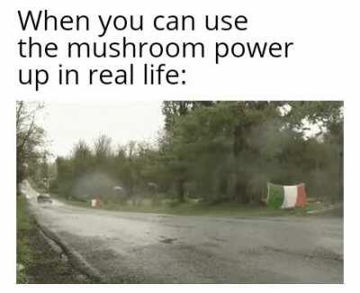 *Coconut Mall starts playing*