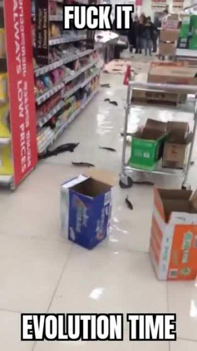 You can't stop evolution