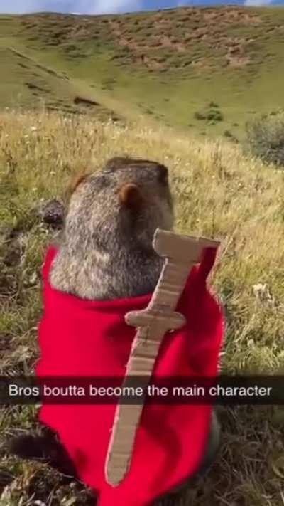 Our journey has only just begun