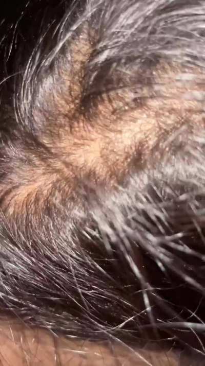 My first bj as virgin, 19f,,   Old video got deleted due to some reasons