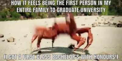 It's such a surreal feeling! I'm so happy!!