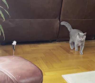 Whole family was looking for him for over an hour 😑