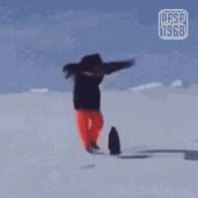 Unlike other deathworlders the only way to survive a human encounter is to be as aggressive as possible.