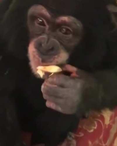 El pana no puede más