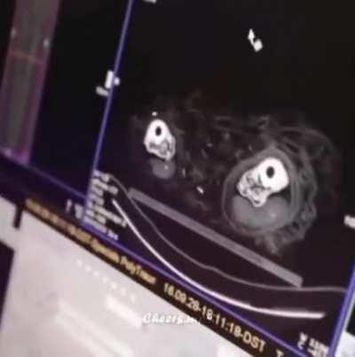 i wonder what he said