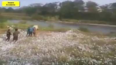 Lighting a Firecracker as Big as You Are Tall: Ill-Advised