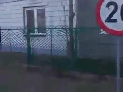 Instant IQ test result