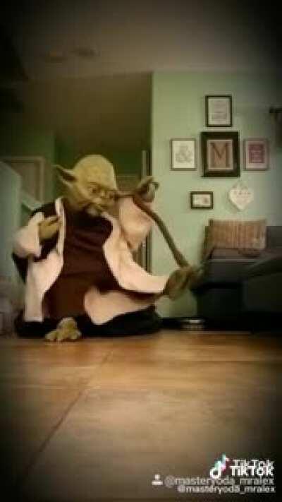 Seagulls, stop it now!