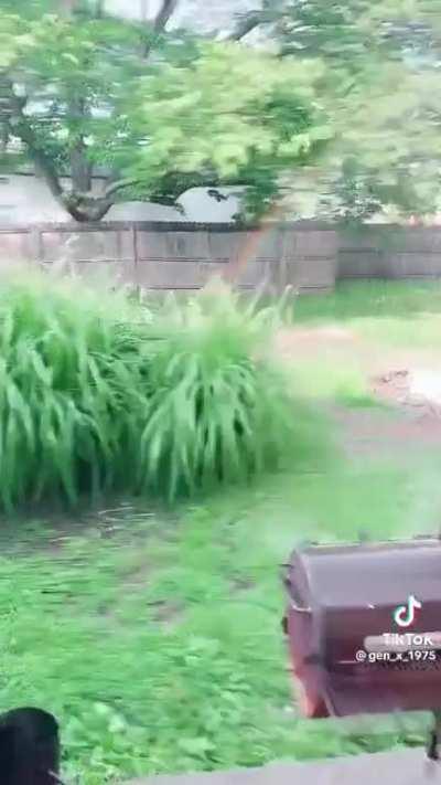 Missouri Weather (by @gen_x_1975 on TikTok.)