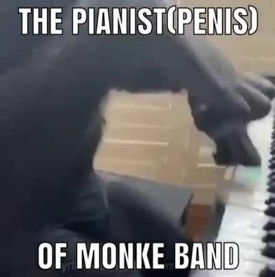 Jojo monke OO OO AA AA