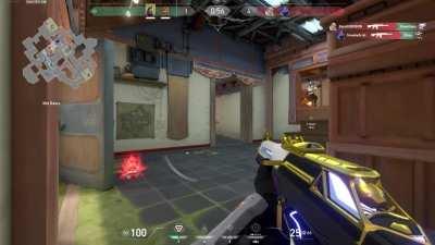 Just got this lucky one tap through the wall yesterday