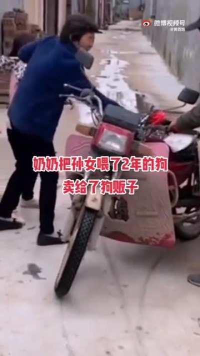 Girl raised the dog for 2 years only for the grandmother sold it for 10 yuan (1.55 USD)