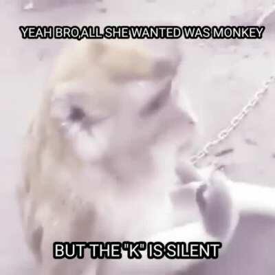 Poor monkey