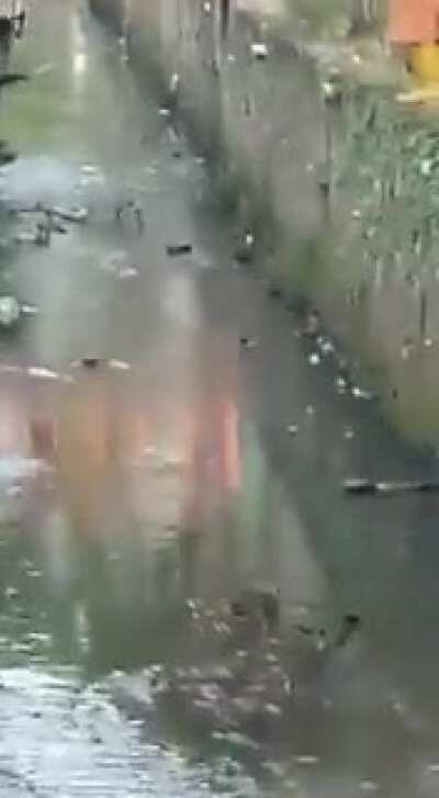 DorV after got caught trying to rob