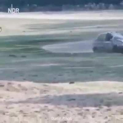 When you don't respect a rhino's personal space