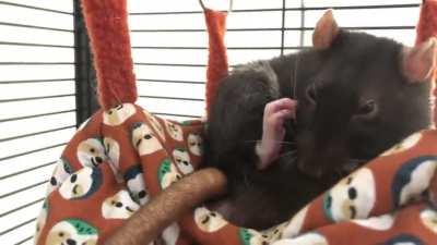 How to clean yo feetsies 101