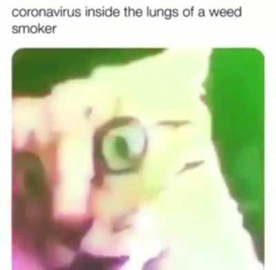 Just them stoners vibing...