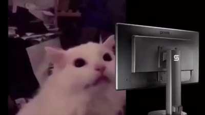 Pov: You play HK at night