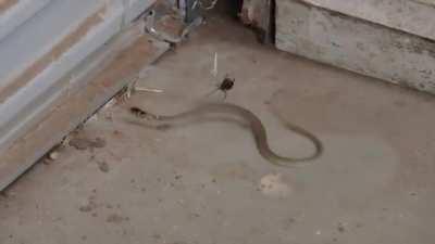 WCGW with being too good at your job