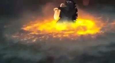 The internet takes tragedy and makes me laugh about it every damn time