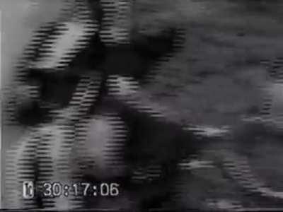 Video made by the Animal Liberation Front (ALF) showing them raid the third floor psychology laboratory of the University of Iowa. 88 mice and 313 rats liberated. (Nov 14, 2004)