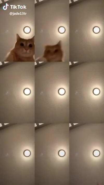 Another masterpiece!