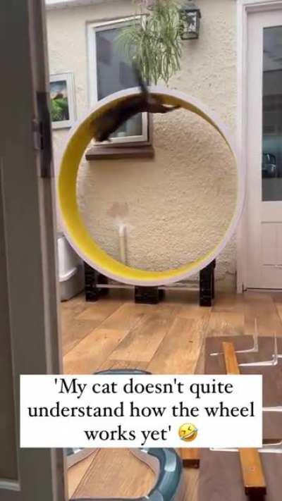 No no, he understands it alright