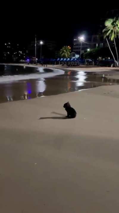 72 часа осталось