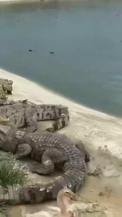 Don't mind me just passing through