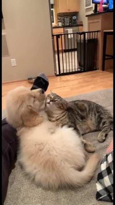 This video made my day. What can you say?