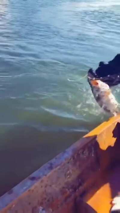 Вот как надо делать бизнес, это бизнес.., а бизнес - это нагибалово бакланов))