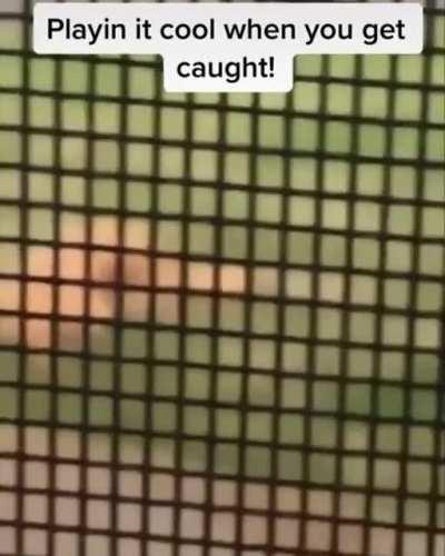 Uhh... Nothing to see here...