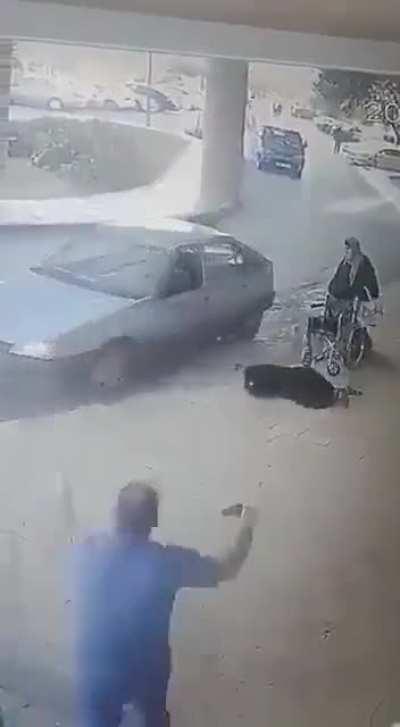 the Ultimate idiot in car!!