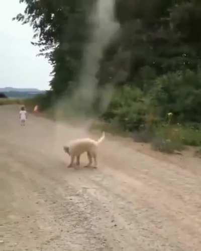 Floofers, Calmer of the Storm