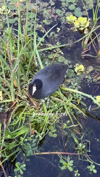 There are so many different kinds!