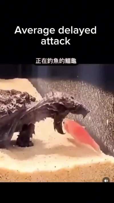 How many times have you died to this attack?: YES